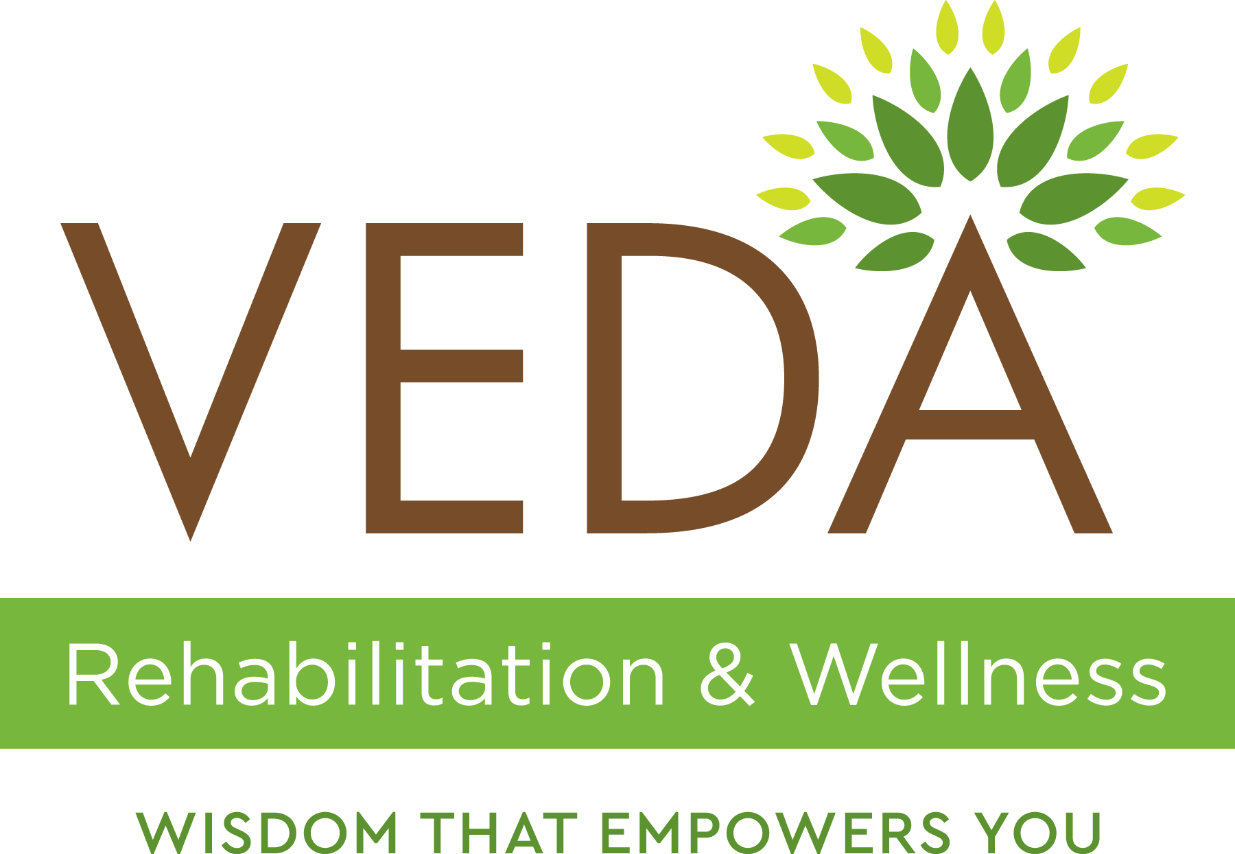 vedawellnessworld logo